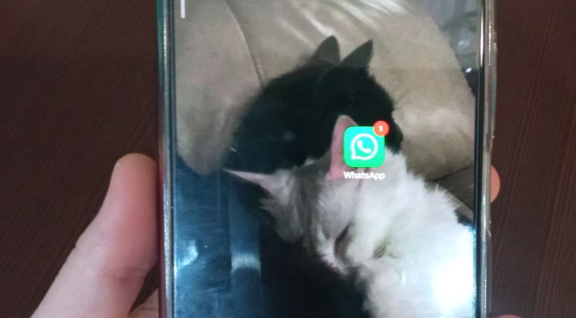 В Оренбургской области вводятся временные ограничения мобильной связи