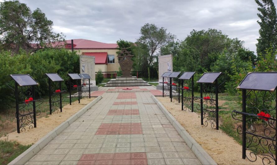 Сельская инициатива