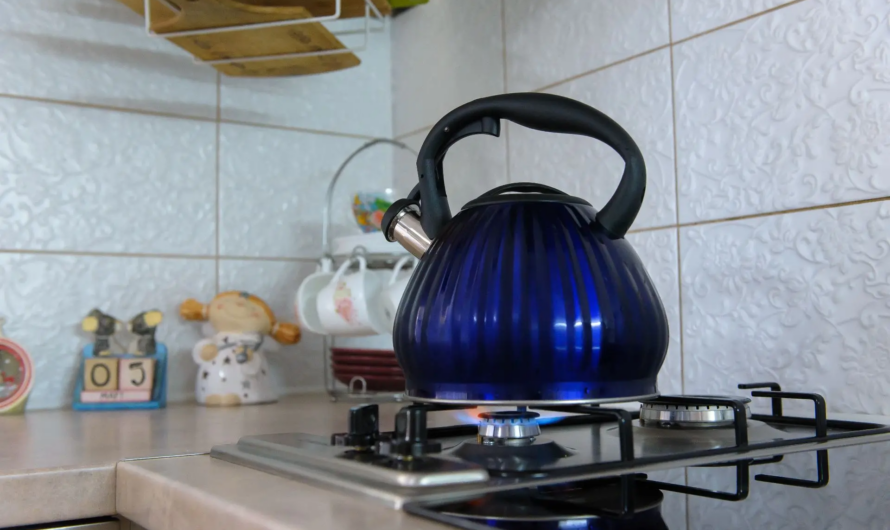 В рамках программы догазификации более 10,6 тысяч домовладений Оренбуржья подключены к газу