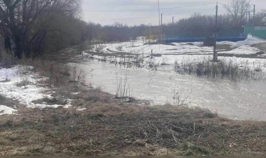 В Октябрьском районе ищут 6-летнего мальчика, упавшего в реку