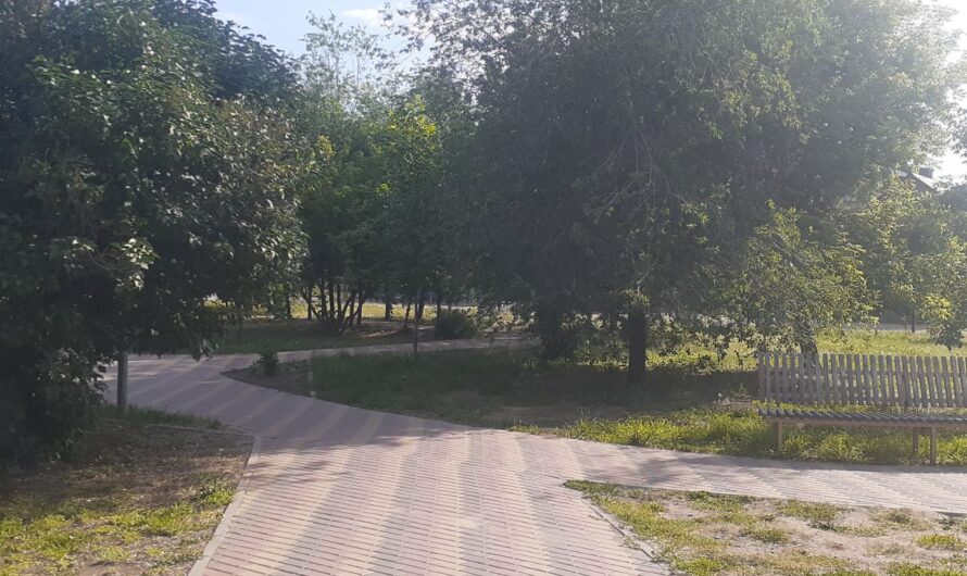 В Соль-Илецке 20 августа ожидается жара до +31 градуса
