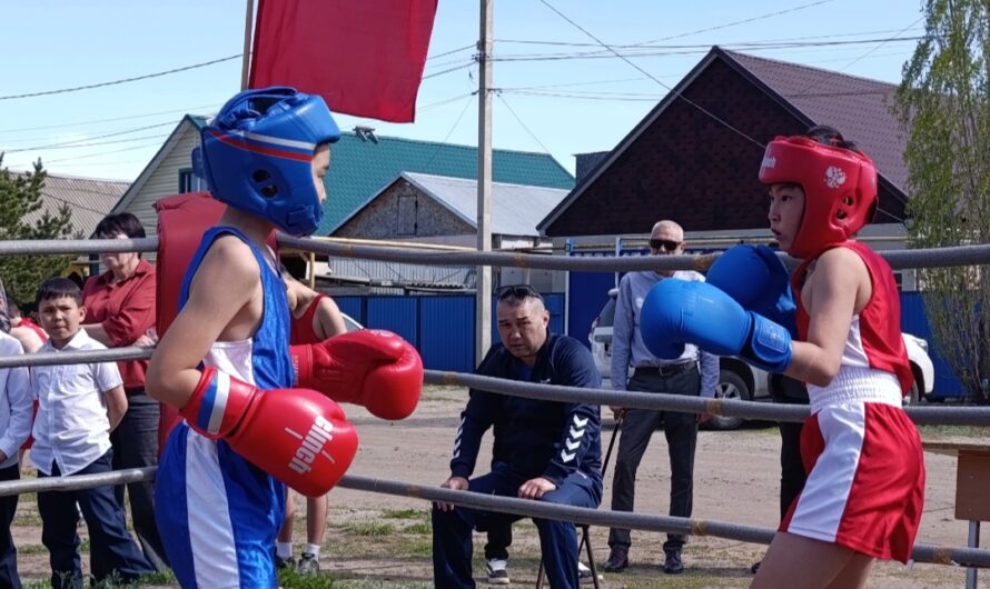 В Соль-Илецке прошел турнир по боксу под открытым небом