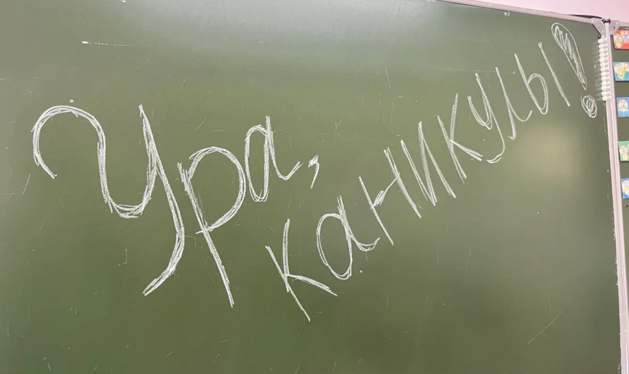 Отдыхать на один день меньше: зимние каникулы в новом учебном году в России будут короче