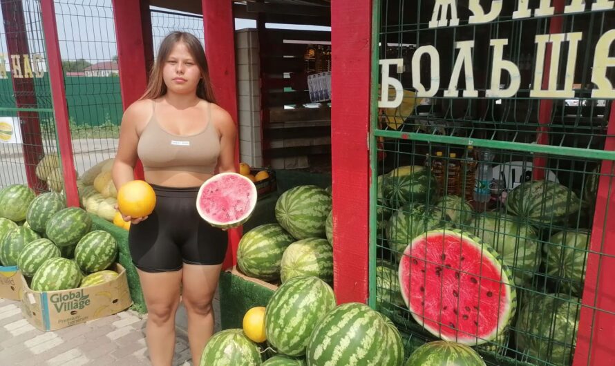 В Соль-Илецке едят арбузы из Средней Азии – местная ягода запаздывает