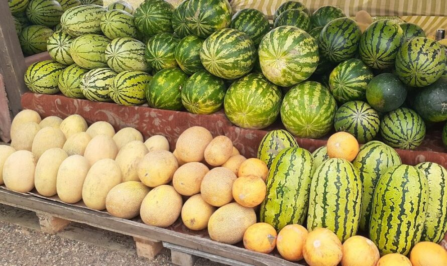 Оренбуржцам рассказали, как выбрать спелый и вкусный арбуз