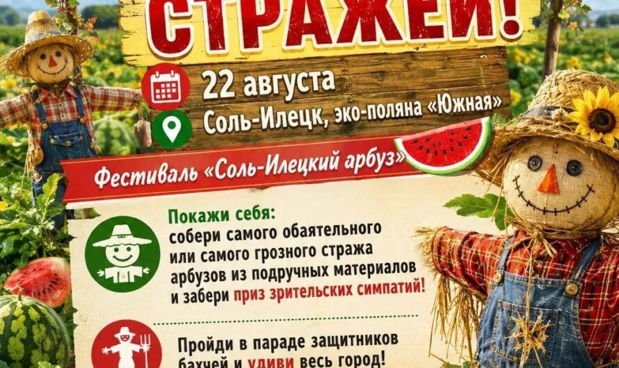 Жителей Соль-Илецкого округа приглашают поучаствовать в конкурсе бахчевых стражей