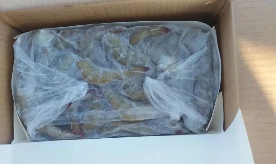 Провезти через Оренбуржье не удалось: 3,2 тонны креветок отправлены обратно в Казахстан