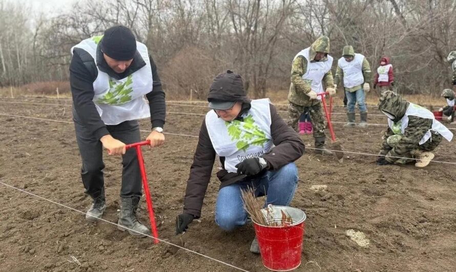 В Оренбуржье проходит акция «Сохраним лес»