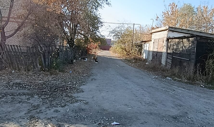Двор многоквартирного дома на Уральской обрастает мусором