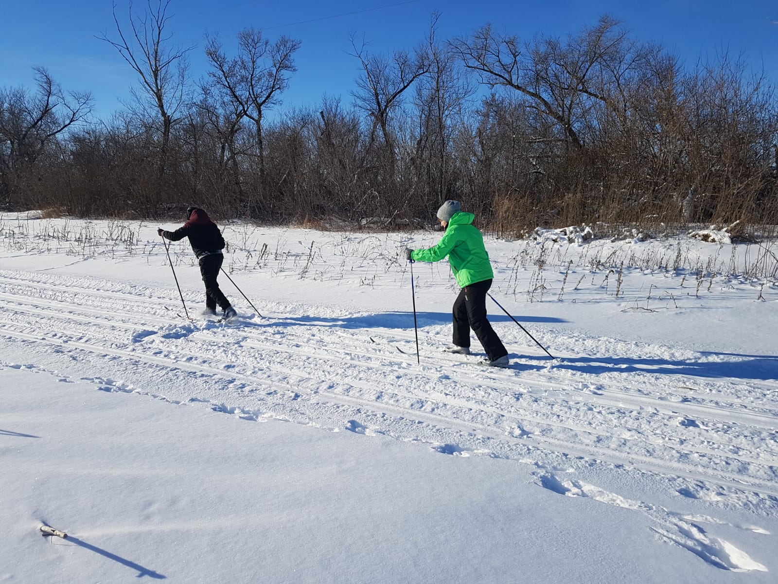 Около спортивной