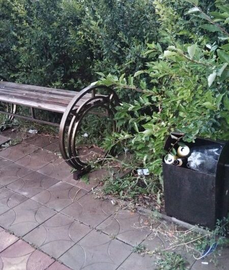 В центре Плешанова, в парке воинов-интернационалистов, подростки переворачивают урны с мусором