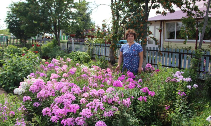 Усадьба Севили Рысиной в Подольском сельсовете очаровывает своей красотой