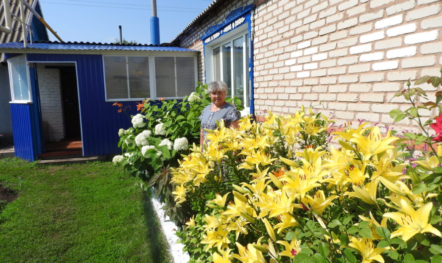 От усадьбы семьи Кучаевых в Пушкинском сельсовете не оторвать глаз