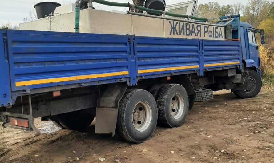 В Оренбургской области начинается основной сезон зарыбления водоёмов