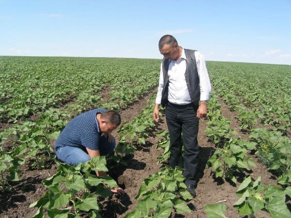 В Оренбургской области составили рейтинг инвестиционной привлекательности муниципальных образований