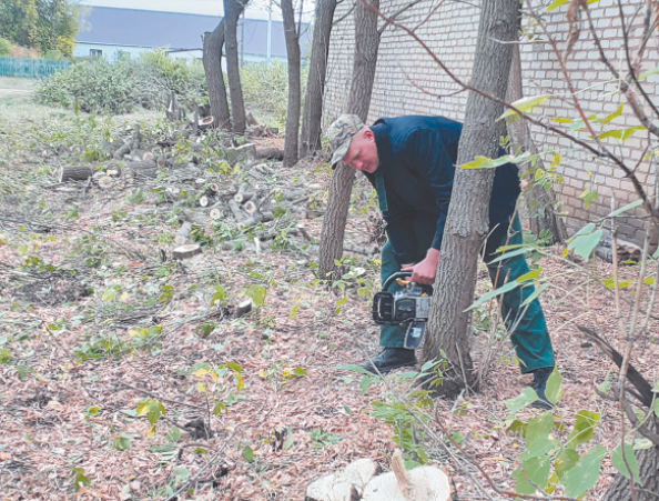 Вместе и сообща