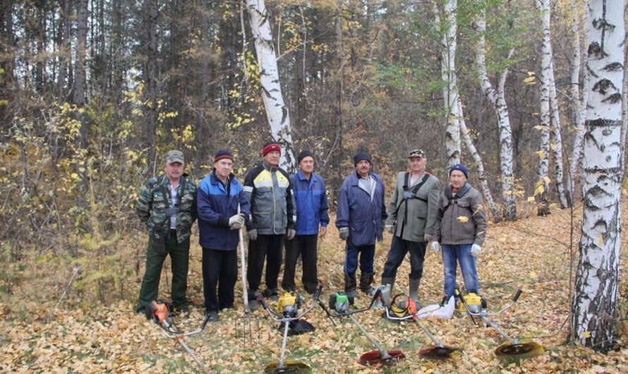 В селе Плешаново  мужчины – энтузиасты расчищают аллею для зимних лыжных прогулок