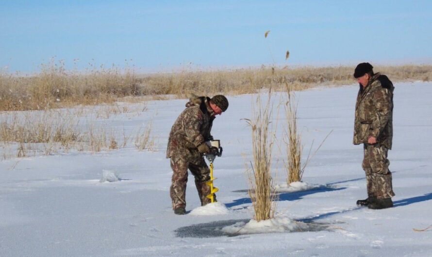 В Оренбургской области проводится экологическая инициатива, направленная на сохранение водных обитателей