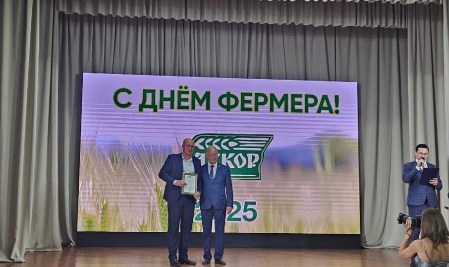 Фермерское хозяйство – опора села