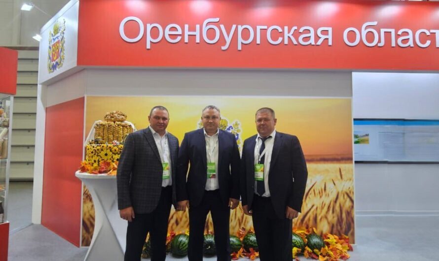 Представители АПК Красногвардейского района приняли участие в агропромышленной выставке «Золотая осень – 2025» в Москве