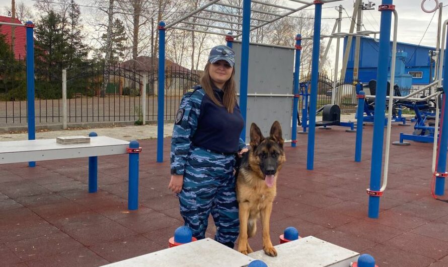 В полиции Красногвардейского района служит младший сержант  Татьяна Игоревна — полицейский-кинолог