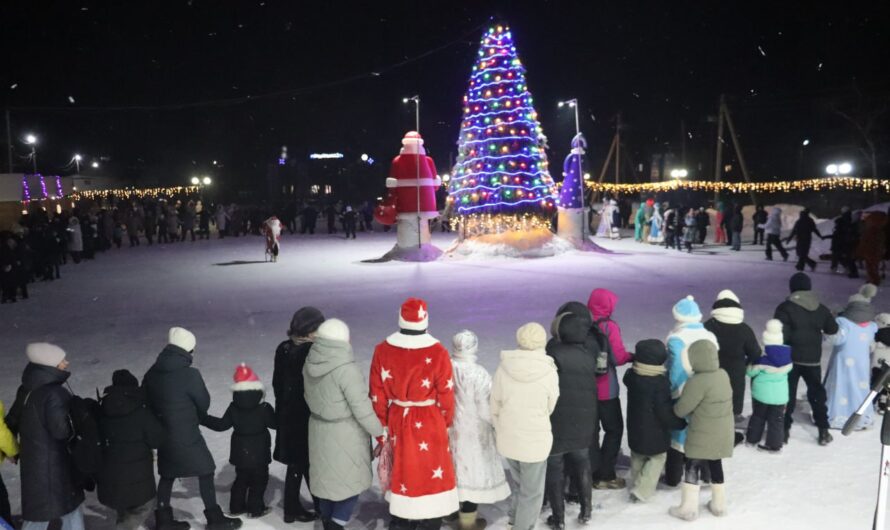В Красногвардейском районе состоялось торжественное открытие главной новогодней ёлки