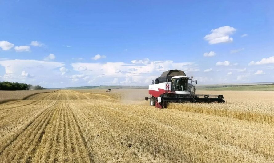 Красногвардейские аграрии продолжают уборочную кампанию