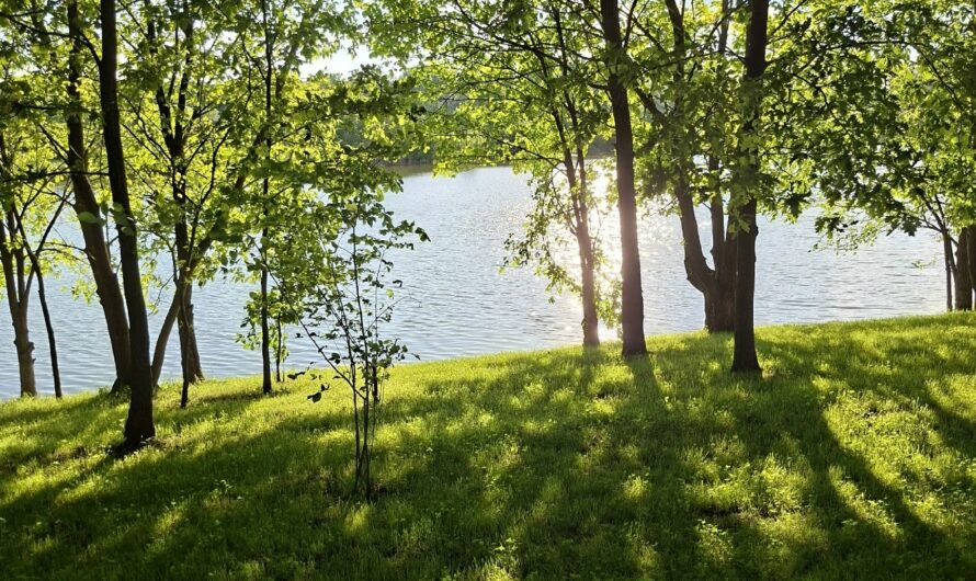 Вода требует осторожности (12+)