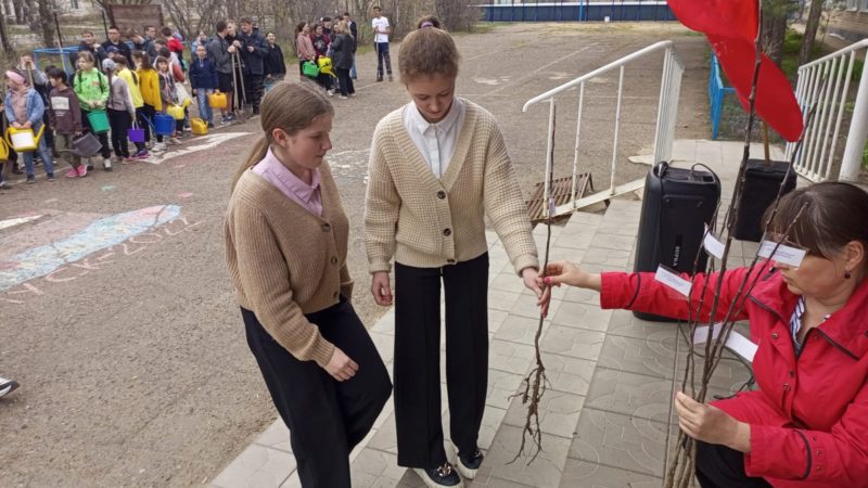 Учащиеся Ташлинской средней школы присоединились к акции «Сад Победы»