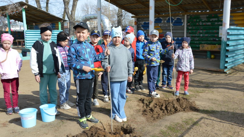 Воспитанники подготовительной группы «Фантазеры» Ташлинского детского сада стали участниками акции «Лес Победы»