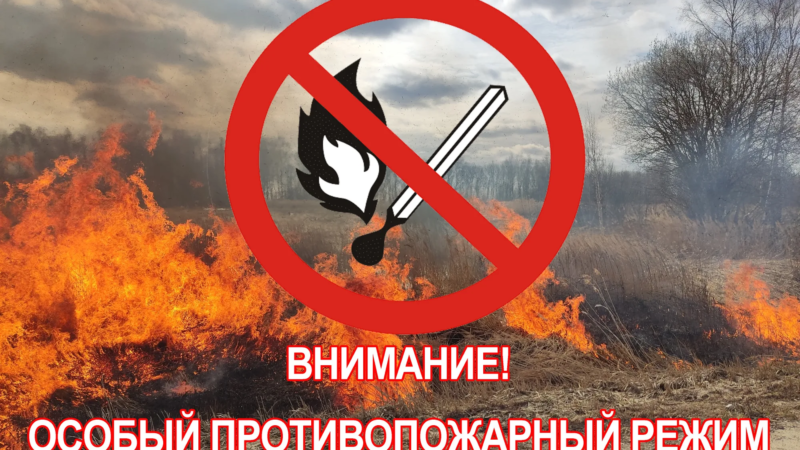 В Оренбуржье с 16 мая объявлен особый противопожарный режим