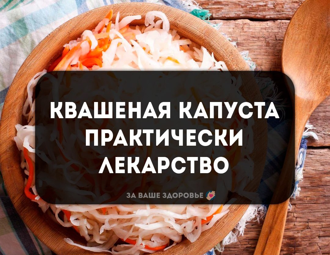 Квашеная капуста – это практически лекарство - Медногорский рабочий