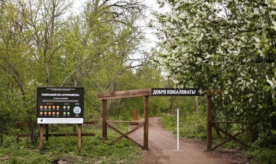 В Оренбуржье появилось новое туристическое пространство