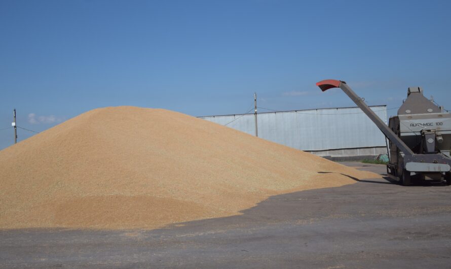 В Шарлыкском районе собран рекордный урожай зерновых