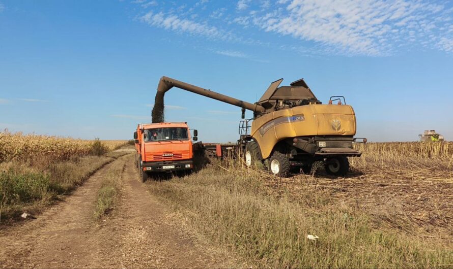 В Шарлыкском районе завершается уборка урожая: подсолнечник радует результатами, животноводы готовы к зиме