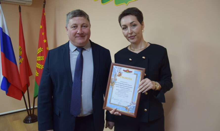 Глава Шарлыкского района Дмитрий Волков наградил лучшие организации по новогоднему украшению