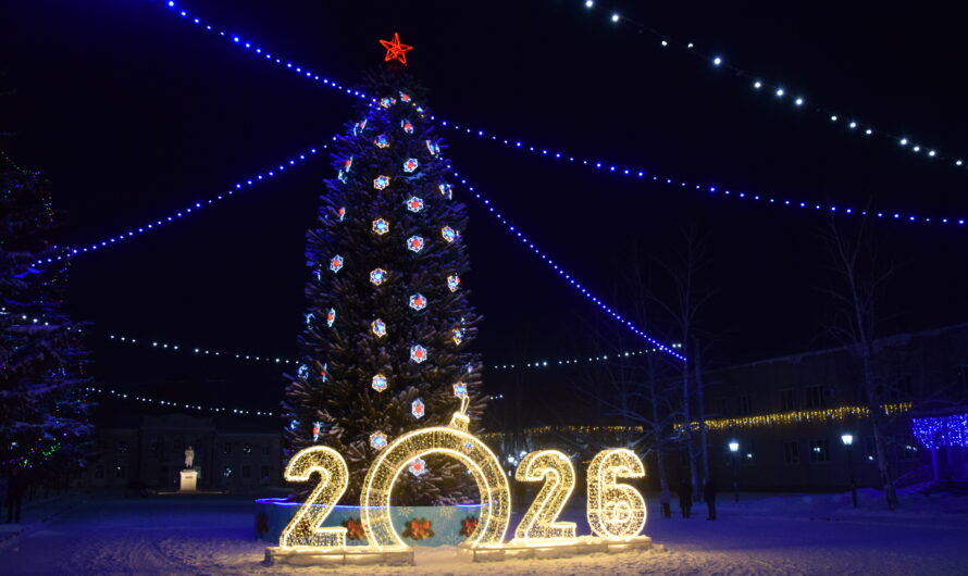 В Шарлыке открыли центральную ёлку