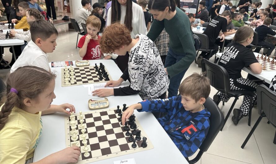 В декабре шахматисты из Дубровки Шарлыкского района завоевали несколько наград