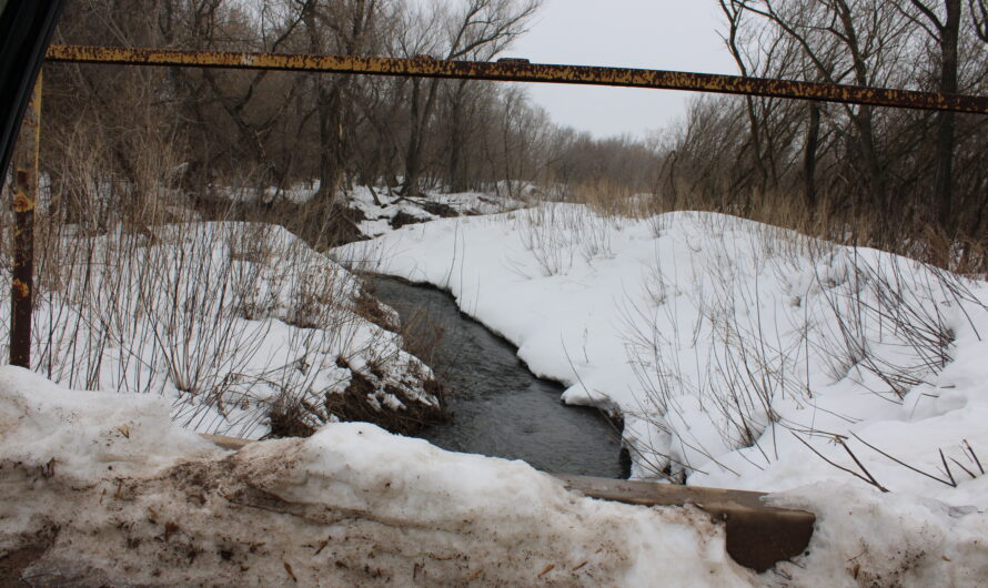 Паводок в Шарлыкском районе держат под контролем