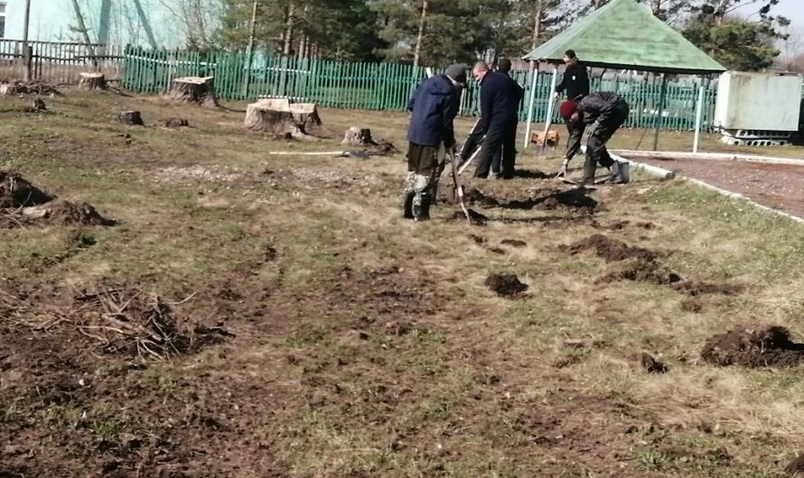 Школьный бюджет: в школах Оренбуржья реализуют новый проект