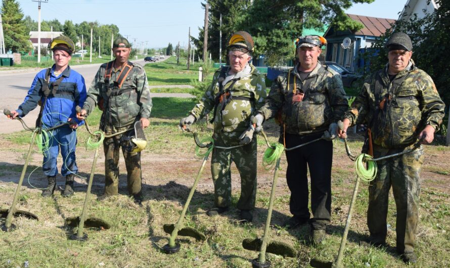В Шарлыке стартовал сезон покоса травы