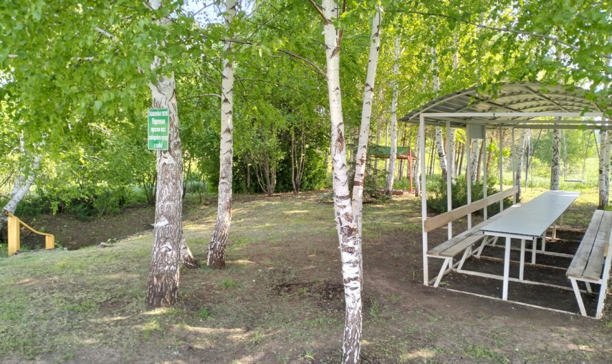 В Шарлыкском районе трудовые коллективы навели порядок на родниках