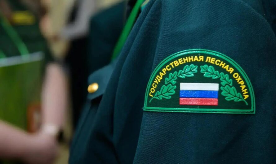 В Оренбуржье сохраняется пожароопасный сезон: леса находятся под круглосуточным контролем