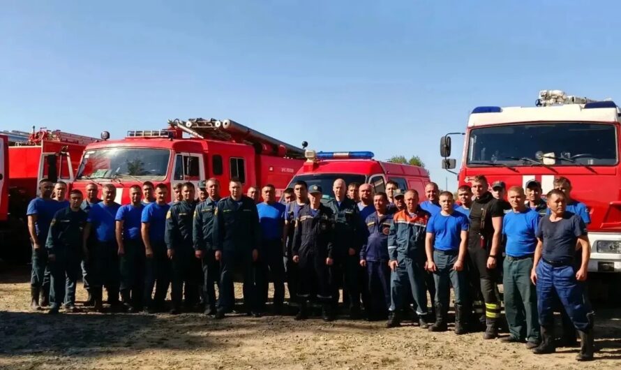 Пожар в Домбаровском районе ликвидирован: Евгений Солнцев поблагодарил спасателей за защиту жителей