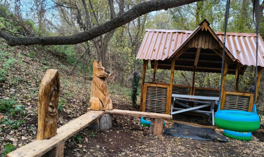 В Николаевке Шарлыкского района обновили родник, знакомый многим поколениям