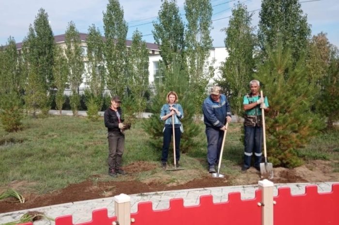 Жителей Новоорска просят помочь благоустроить парк Победы