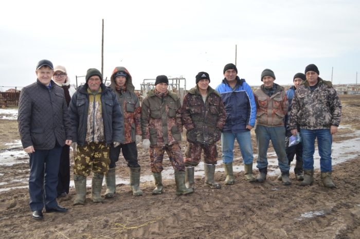 Животноводы села Караганка Новоорского района в зимовку скота вступают уверенно