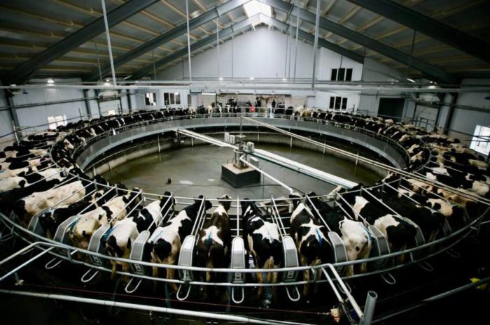 Денис Паслер: «В Оренбуржье растет производство молока»