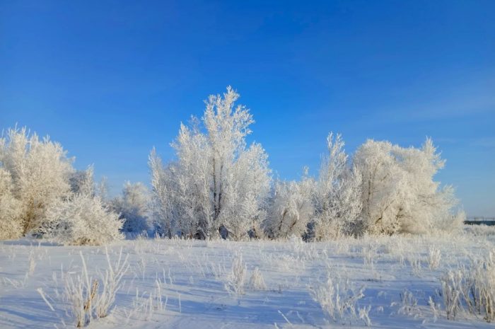 В Новоорском районе днем 3 марта прогнозируют -2 градуса без осадков