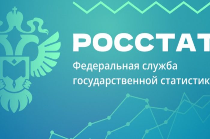 В Оренбуржье введут новые требования для самозанятых в следующем году